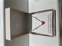 Necklace Disney Child in Steel N600627-L157CJ - N600627-L157CJ